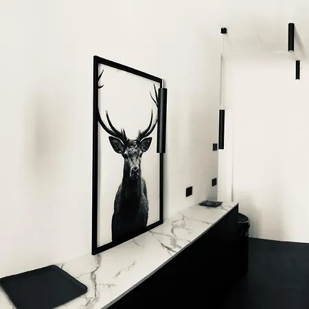 Apartment Falier- Luminosa